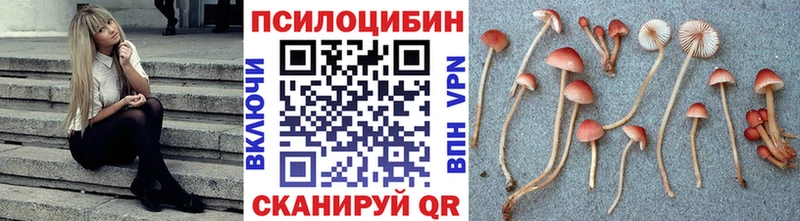 нарко площадка формула  Александровское  Псилоцибиновые грибы прущие грибы 